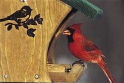 Cardinal